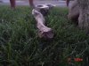 DSC02857.JPG