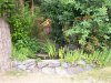100_1695.JPG