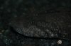 DSC_2250.JPG