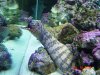 DSC09423.JPG