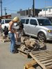 DSC09267.JPG