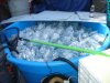 DSC09212.JPG