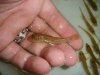 DSC09469.JPG