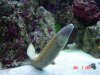 DSC07284.JPG