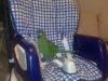 kiwi 4.jpg