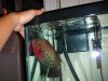 DSCN2523.JPG