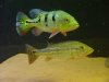 DSC01035.JPG