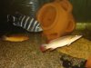 DSC07143.JPG