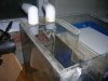 DSCN1848.JPG