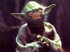 li yoda.jpg