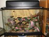 DSC01458.JPG