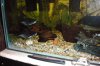 100_0165.JPG