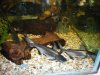 100_0068.JPG