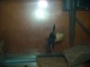 DSCN0198.JPG