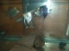 DSCN0218.JPG