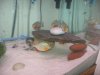 Piranhas 181.jpg