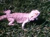 pic031207_1-1.jpg