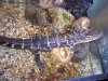 100_2561.JPG