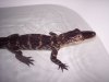 100_2569.JPG