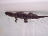 100_2570.JPG