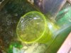 DSC00749.JPG