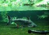 20070924121754_2.jpg