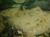 DSC03074.JPG