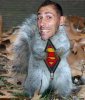 super_squirrel.jpg