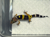 Baby6.gif
