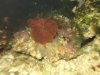 DSC00123.JPG