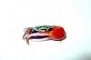 mellon fiddler.JPG