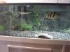 DSC01479.JPG