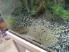 DSC01486.JPG