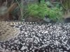 DSC01506.JPG
