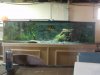 DSC01508.JPG
