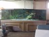 DSC01512.JPG