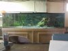 DSC01515.JPG