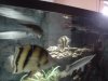 DSC01521.JPG