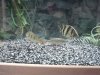 DSC01552.JPG