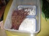Resize of IMG_1963.JPG
