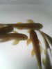 0416061017.jpg