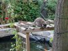DSC00542.JPG