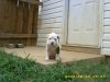 7 weeks old 039.jpg