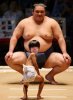 sumo li.jpg