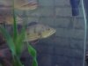 DSC00158.JPG