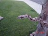 DSC03177.JPG