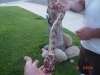DSC03179.JPG