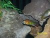 100_1111.JPG