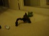 DSC01573.JPG