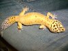 DSC00876.JPG